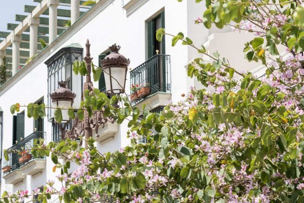 Balcones en la judería de Sevilla